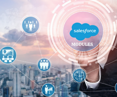 Salesforce Modules
